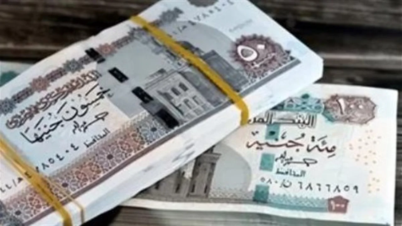 آلية جديدة.. تأمين اجتماعي يحدد خطوات تحويل صرف المعاشات